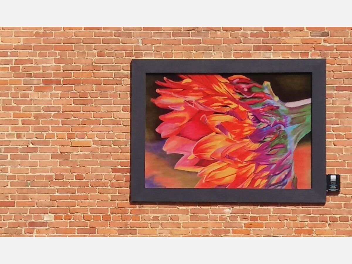 Art Around Saline: Work 0f 6 Talented Artists to Be Highlighted Around Town