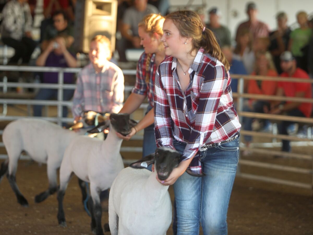 Washtenaw 4-H Fair July 22-27 | The Saline Post Washtenaw 4-H Fair July 22-27 | The Saline Post