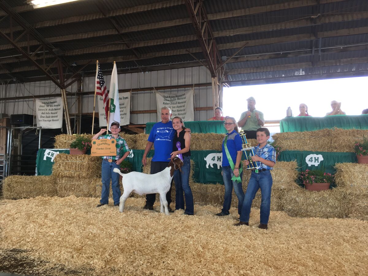 Washtenaw County 4H Fair July 2226 and Auction July 25, 2019 The