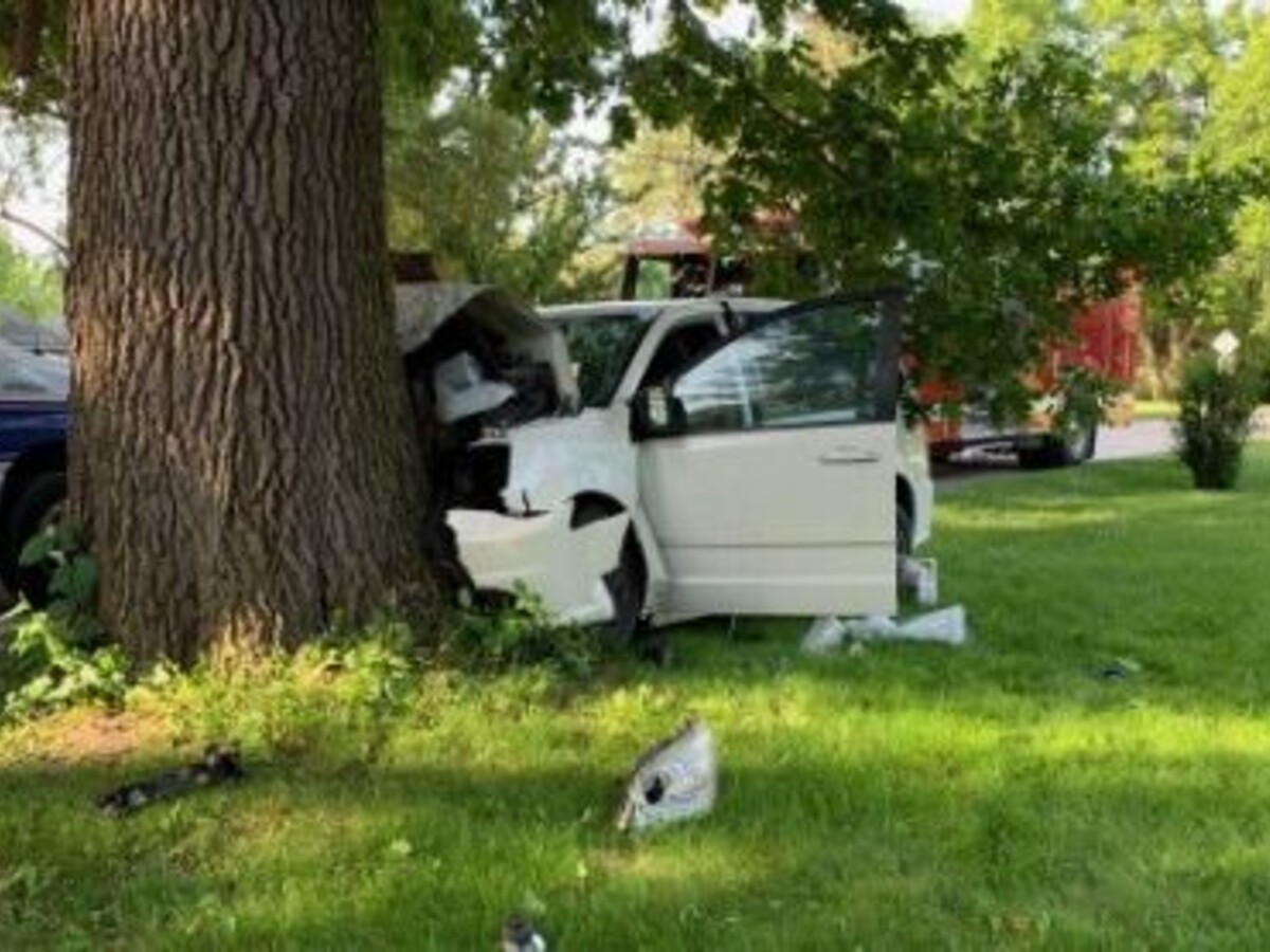 Man and Dog Injured as Van Crashes into Tree | The Saline Post