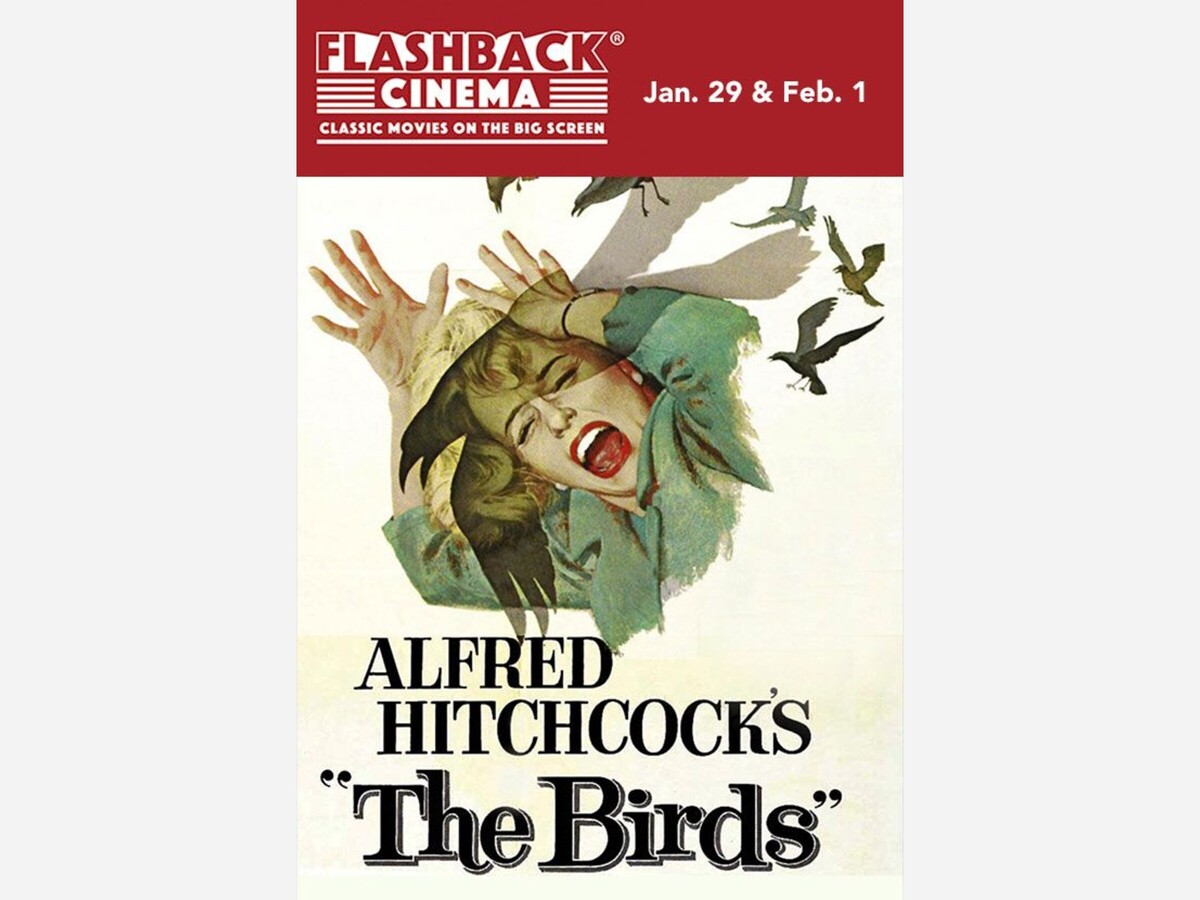 Flashback: The Birds, Harry Potter and Pillow Talk Play Saline Emagine