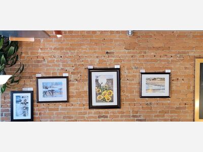 Art Exhibit