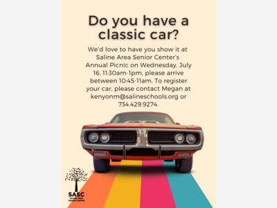 Calling classic car enthusiasts!