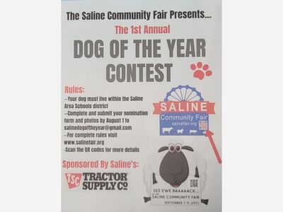 August 1 Deadline to Nominate Saline Dog of the Year
