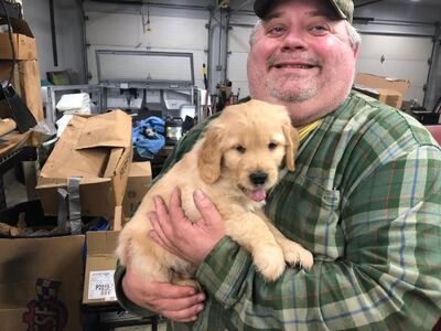 Raymond Schlaff, Electrician, Loved Cooking for Family, Friends and His Golden Retrievers
