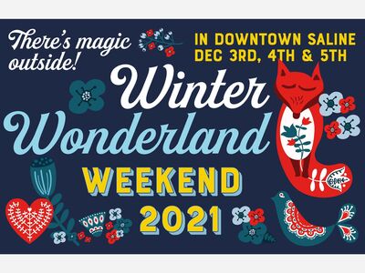 The Chamber of Commerce & Saline Main Street Collab | Winter Wonderland & Holiday Parade Weekend!