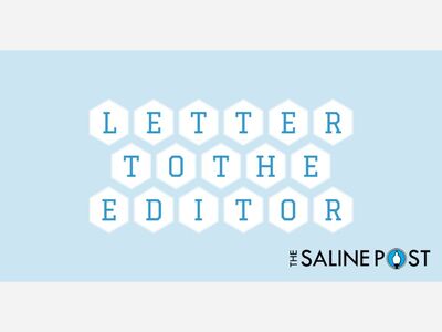 LETTER: Libby Williams Writes About Issues with Local Government