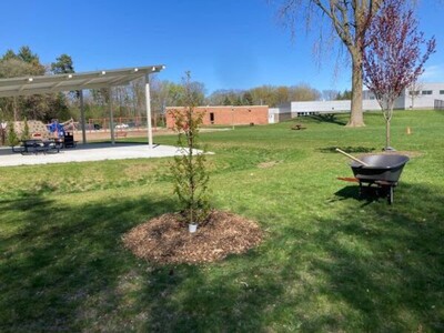 Join the DNR's Program to Plan, Care For and Increase Tree Canopy