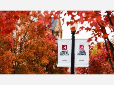 Thomas Walsh of Saline Named to University of Alabama Fall 2024 Presidents List