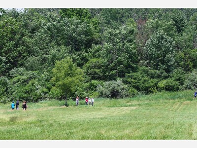 When It Comes to Owls, Learning and Searching Can Be a Hoot