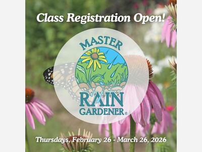 Learn to Design Master Rain Gardener