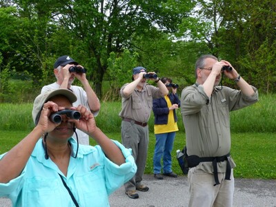 Birding for Beginners