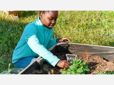 Plant a Library Garden
