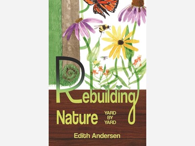 Rebuilding Nature Yard by Yard by Edith Anderson