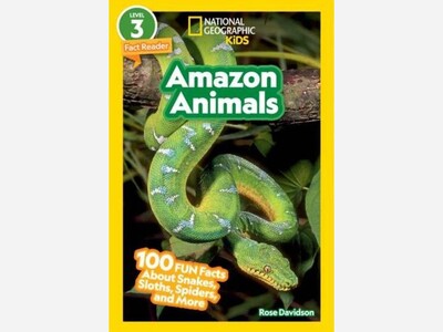 Adventures in Bookland: Amazon Animals