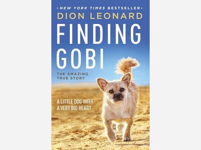 Finding Gobi