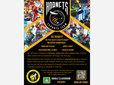 Saline High School ESports Team 