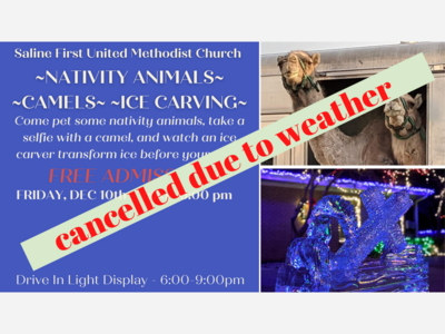 CANCELLED - SFUMC CAMELS, CARVING, & MORE EVENT