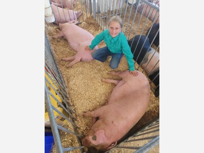 Washtenaw County 4-H Youth Auction