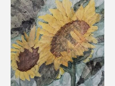 Whitepines Studios Shop is Open Monday-Sat 9:30 - 5 pm!