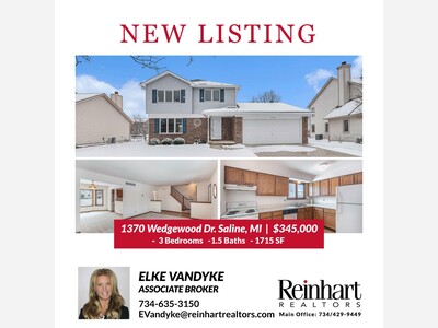 NEW LISTING by ELKE VANDYKE in SALINE