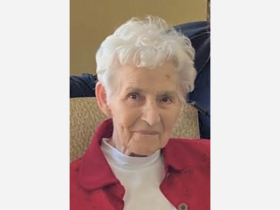 Barbara Lewis, Wife and Mother, Was a Nurse at the Ann Arbor Veterans Hospital VA