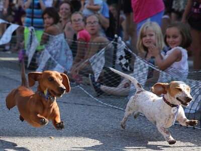 Wiener Dog Races, Corn Hole and Hammerspiel Among Saline Oktoberfest Activities