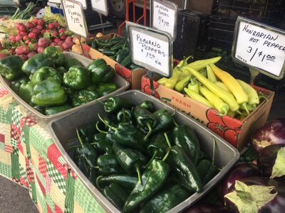 Saline Farmers Market September 22, 2018