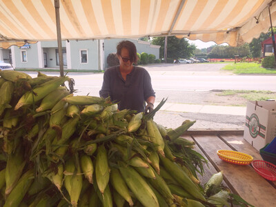 Saline a Sweet Spot for Sweet Corn