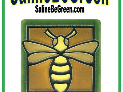 Nominations Open for the 3rd Environmental Recognition Award - City of Saline