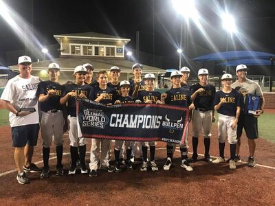 Saline Hornets Win 13U Indiana AA World Series