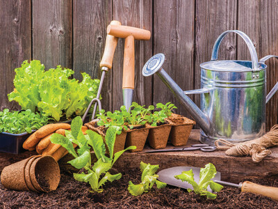 Pittsfield Township to Launch First Community Garden at Prairie Park