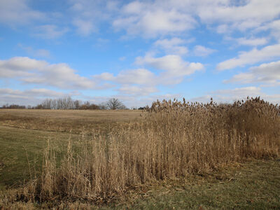 Saline Schools Sell Corner Lot to Marathon, Which Plans New Speedway