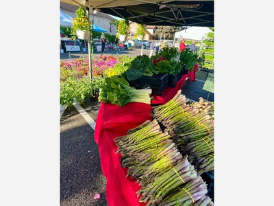 Saline Outdoor Farmers Market