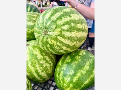 Saline Outdoor Farmers Market