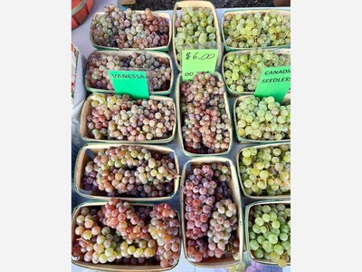Saline Outdoor Farmers Market