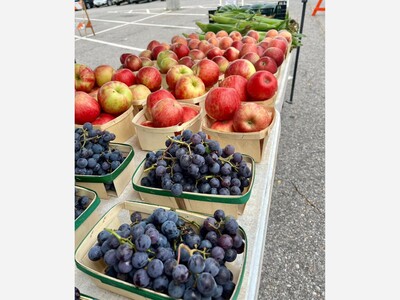 Saline Outdoor Farmers Market