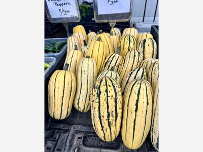 Saline Outdoor Farmers Market