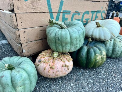 Saline Outdoor Farmers Market