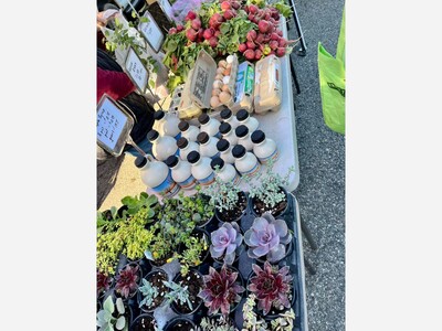 Saline Outdoor Farmers Market