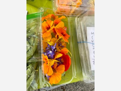 Saline Outdoor Farmers Market