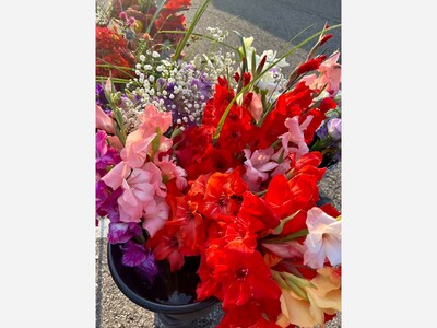 Saline Outdoor Farmers Market