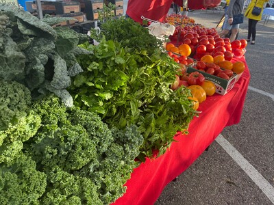 Saline Outdoor Farmers Market