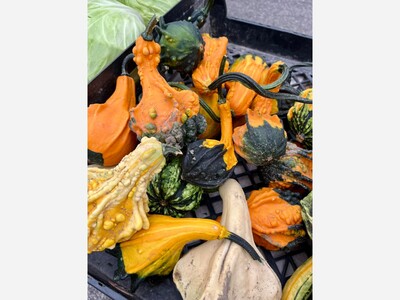 Saline Outdoor Farmers Market