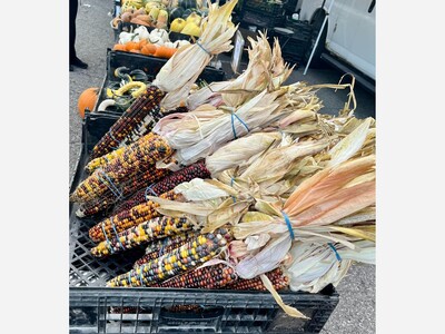 Saline Outdoor Farmers Market
