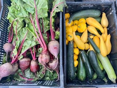 Saline Outdoor Farmers Market