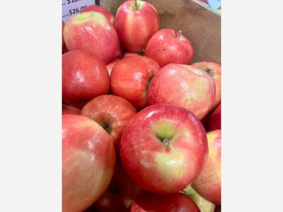 Saline Indoor Farmers Market
