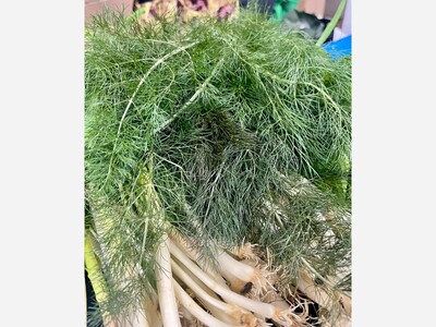 Saline Indoor Farmers Market