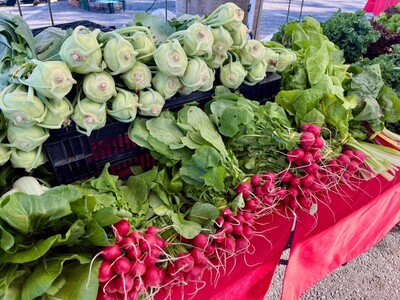 Saline Outdoor Farmers Market