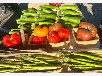 Saline Outdoor Farmers Market